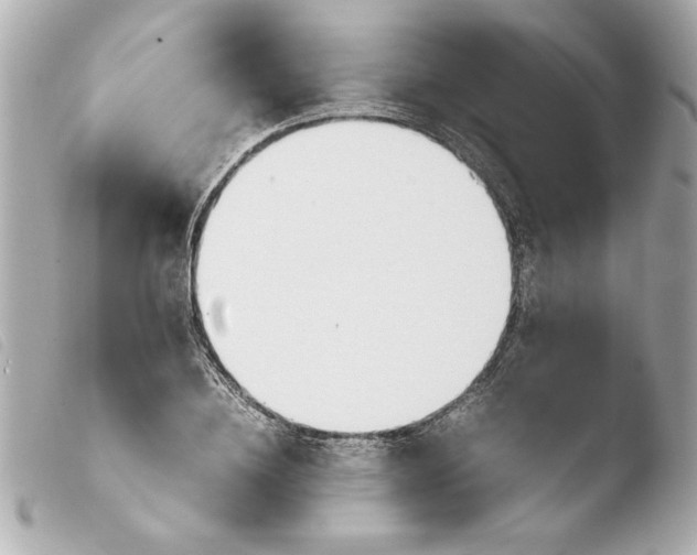 X0000103900836200810031147