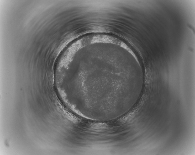 X0000103900837200810031147