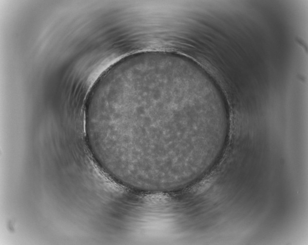 X0000103900838200810031147