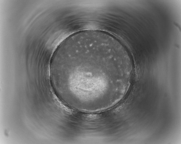 X0000103900839200810031147