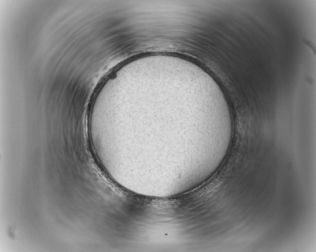 X0000103900840200810031147