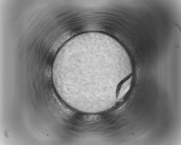 X0000103900841200810031147