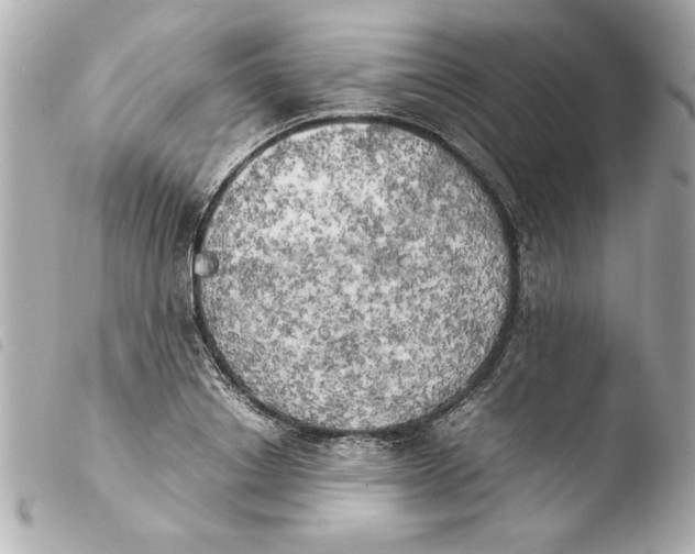 X0000103900842200810031147