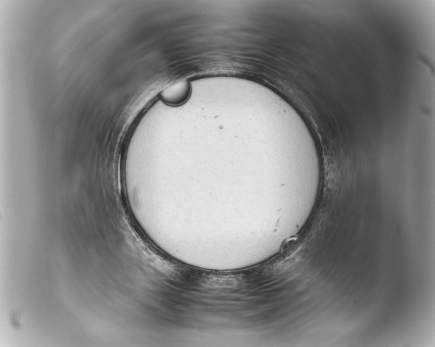 X0000103900843200810031147