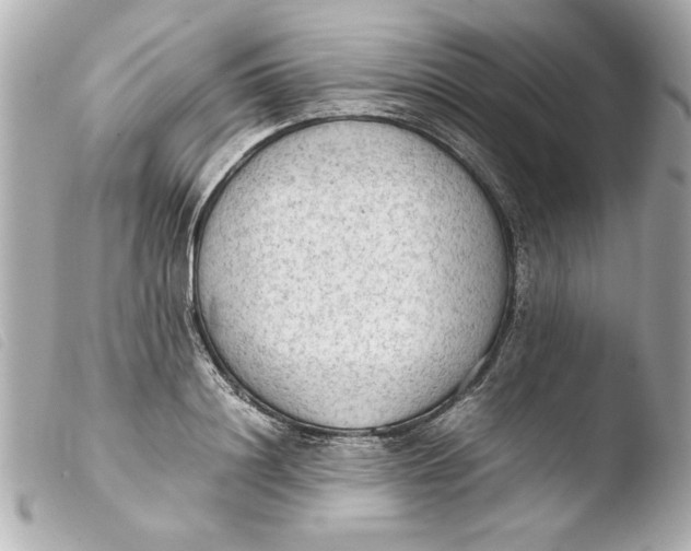 X0000103900844200810031147