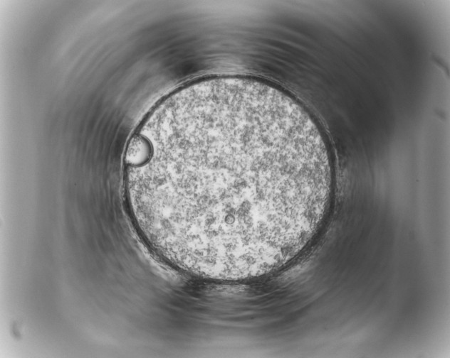 X0000103900845200810031147