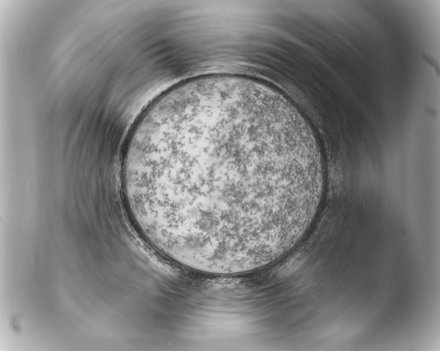 X0000103900846200810031147