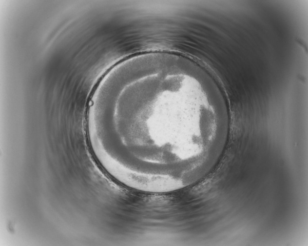 X0000103900847200810031147