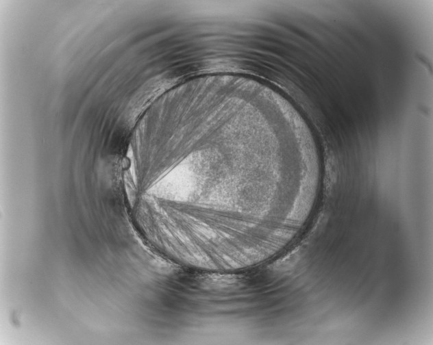 X0000103900849200810031147