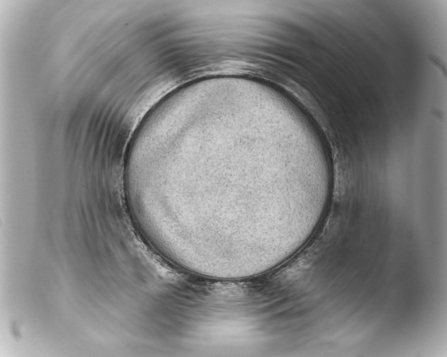 X0000103900850200810031147