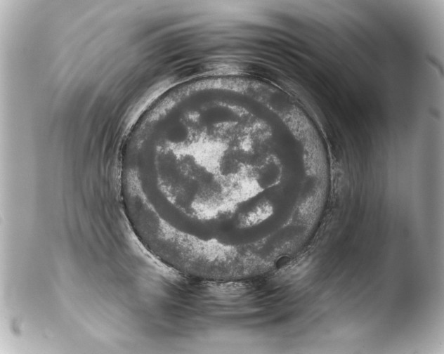 X0000103900851200810031147