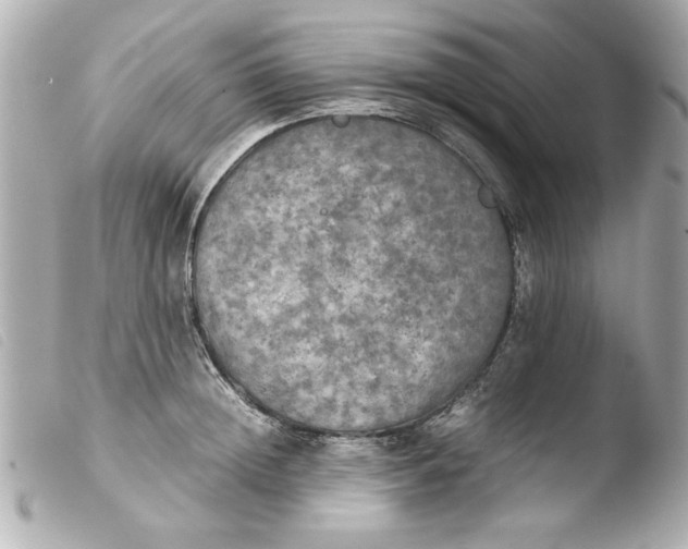 X0000103900852200810031147