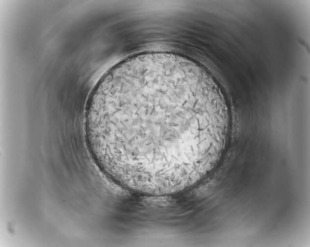 X0000103900853200810031147