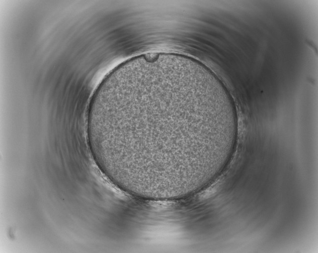 X0000103900854200810031147