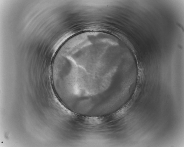 X0000103900855200810031147