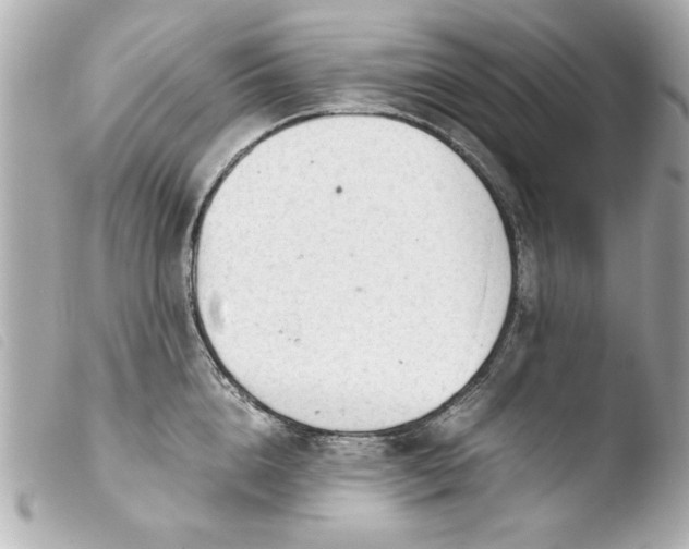 X0000103900856200810031147