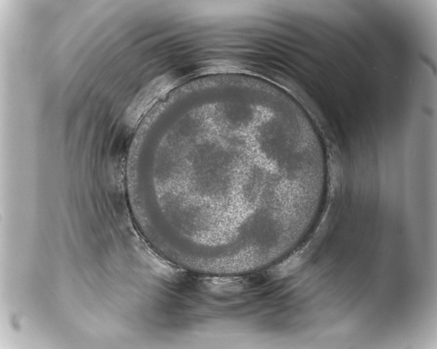 X0000103900857200810031147