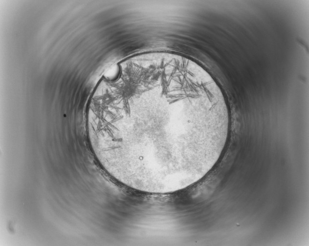 X0000103900858200810031147