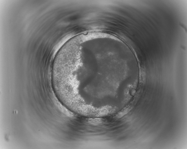 X0000103900859200810031147