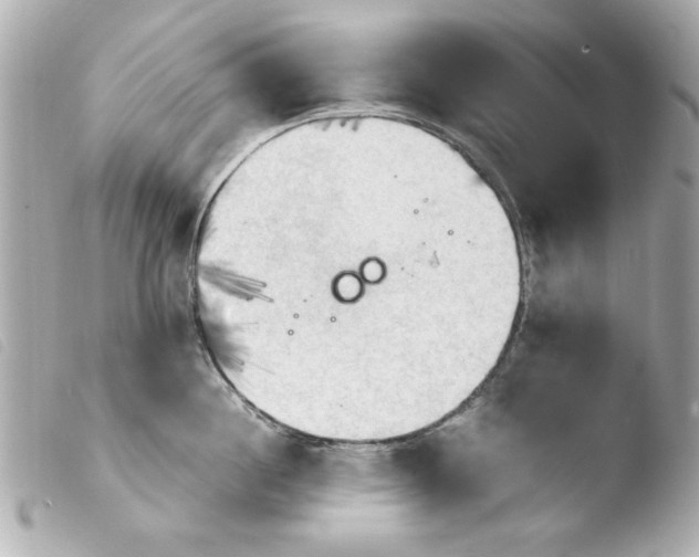 X0000103900860200810031147