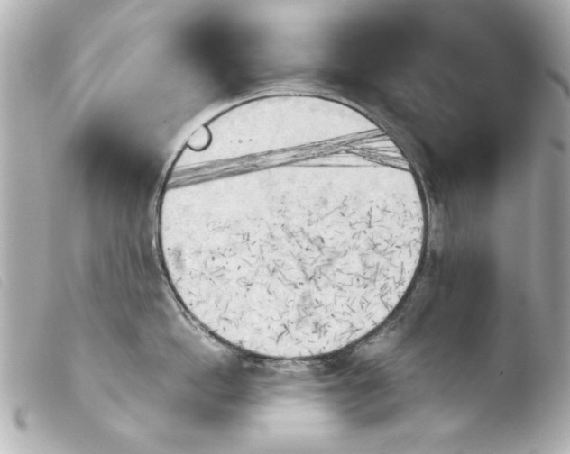 X0000103900862200810031147