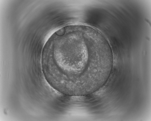 X0000103900863200810031147