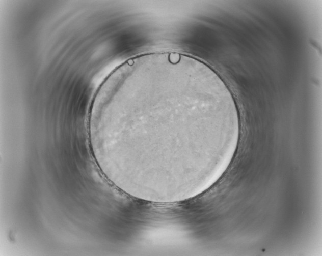 X0000103900864200810031147