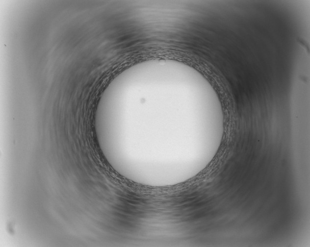 X0000103900865200810031146