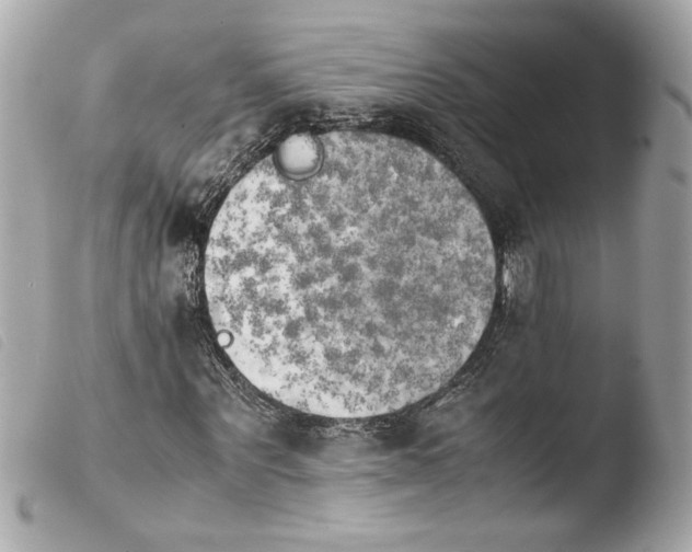 X0000103900867200810031146