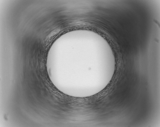 X0000103900869200810031146