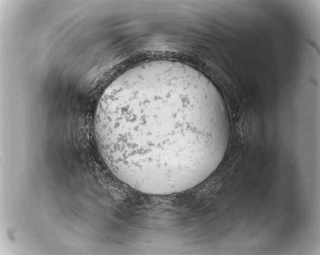 X0000103900870200810031146