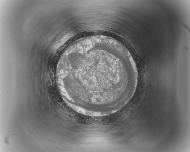 X0000103900871200810031146