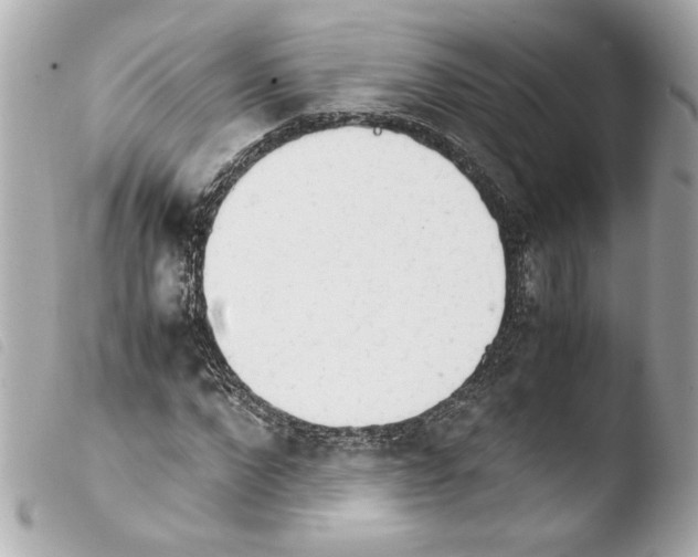 X0000103900872200810031146