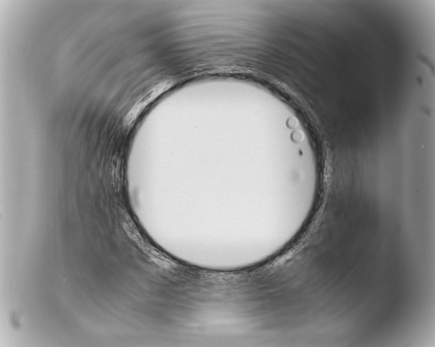 X0000103900873200810031146