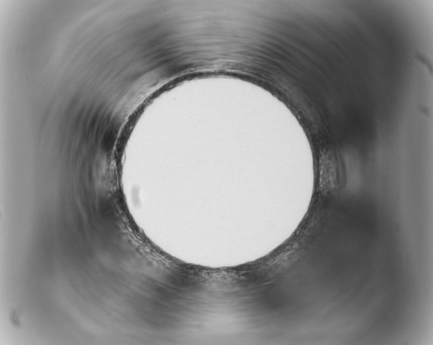 X0000103900876200810031146