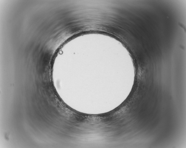 X0000103900877200810031146