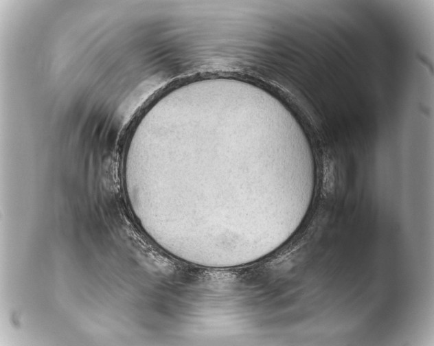 X0000103900878200810031146