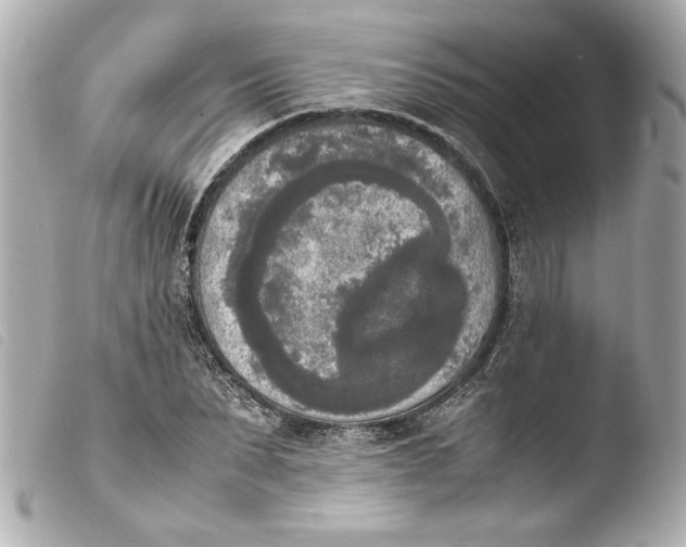 X0000103900879200810031146