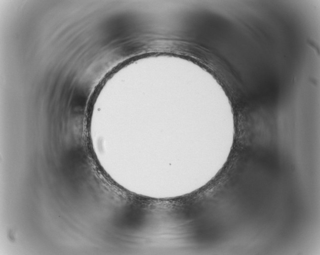 X0000103900880200810031146