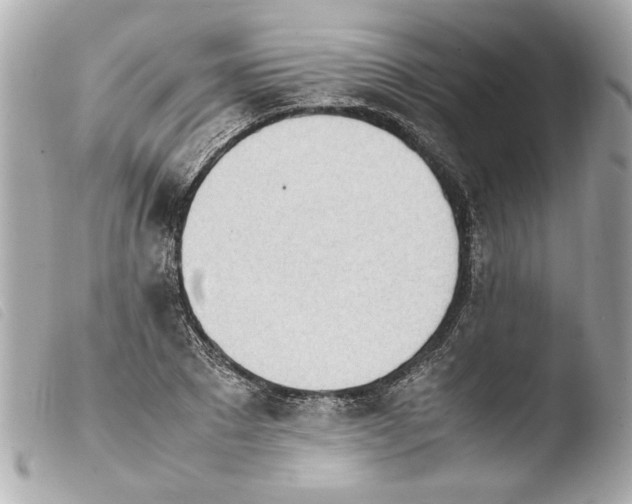 X0000103900881200810031146