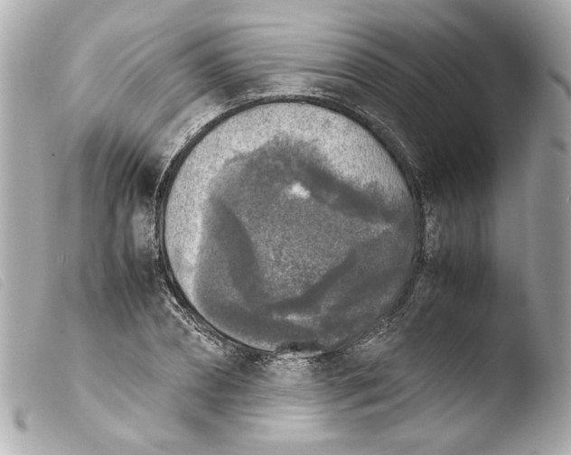 X0000103900882200810031146