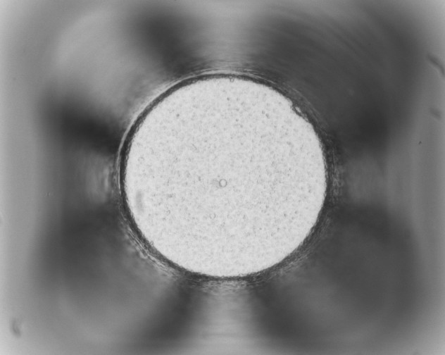 X0000103900884200810031146