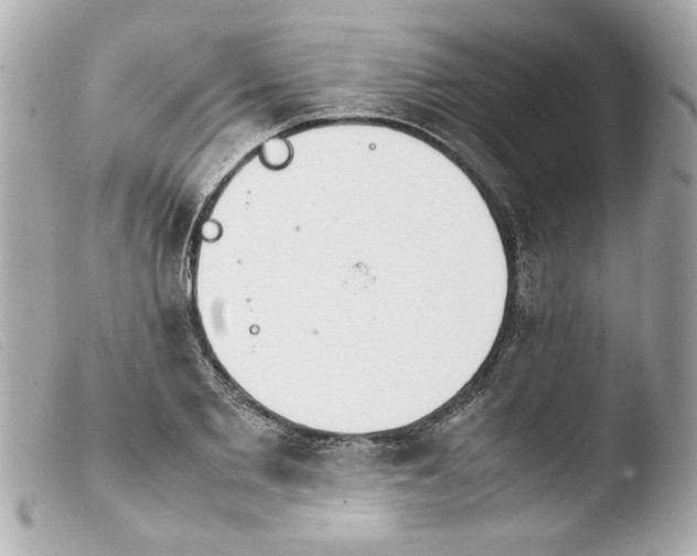 X0000103900885200810031146