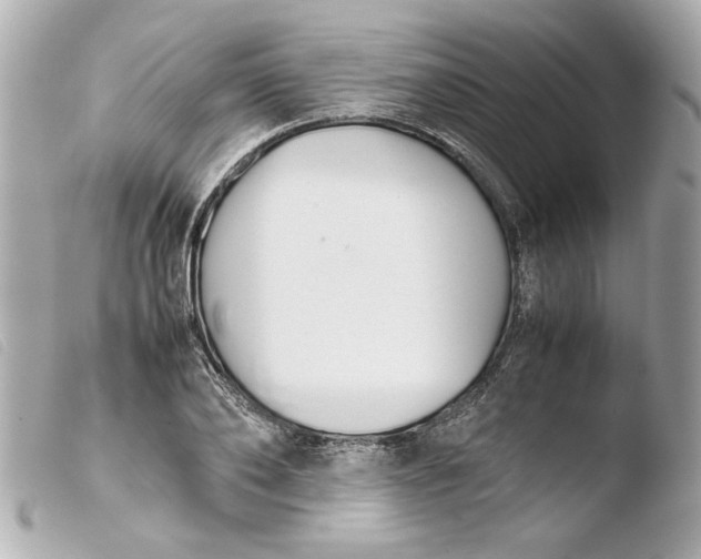 X0000103900886200810031146