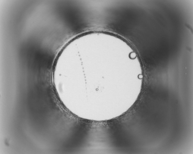 X0000103900887200810031146