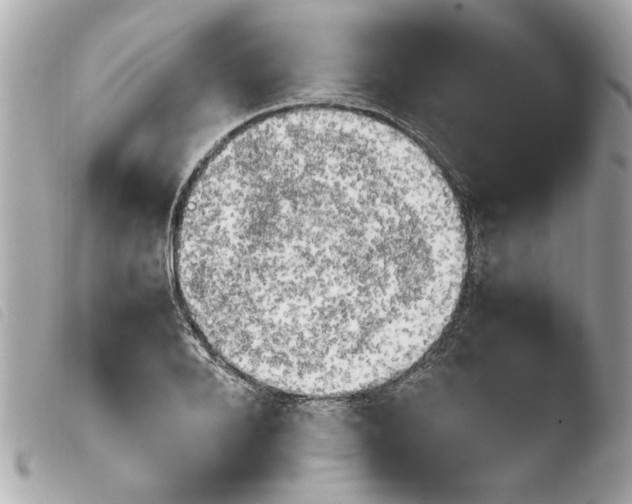 X0000103900888200810031146