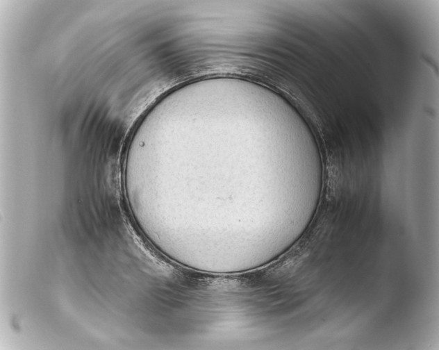 X0000103900890200810031146