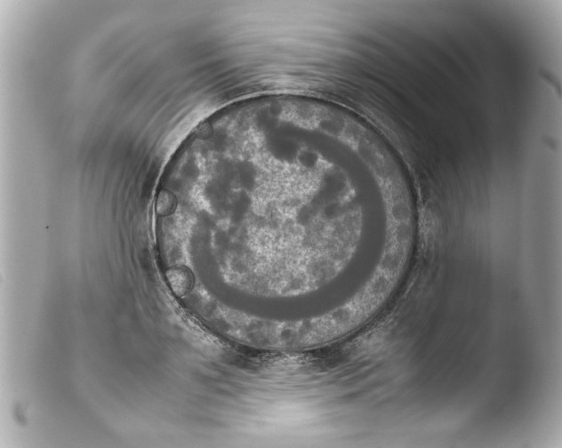 X0000103900891200810031146