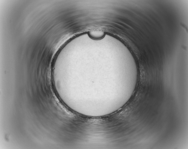 X0000103900894200810031146