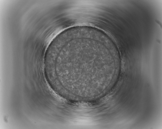 X0000103900895200810031146